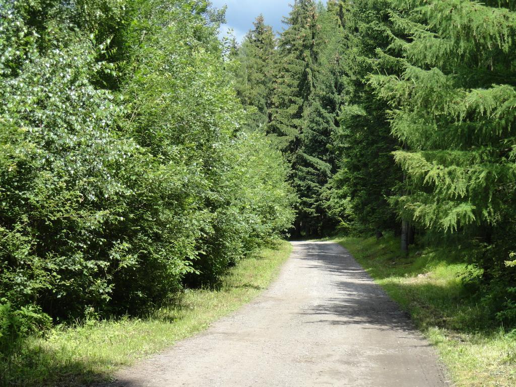 Ski-Bike Certovka Harrachov Exteriör bild